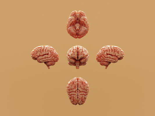 What Psychology Misses In Human Behavior - The Trap That Prevents Us From Understanding Behavior