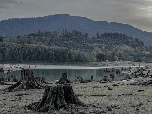 Worry About The Future - When Our Minds Attempt To Understand The Chaos Of Our World