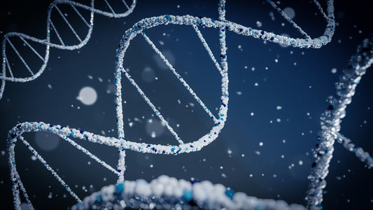 The Seven Levels Of Scientific Research - Understanding The Quality Of Your Scientific Beliefs