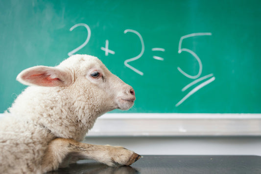 How We Are Scientifically Becoming Dumber - The Multiple Factors Impacting All Generations Causing Our IQ To Drop