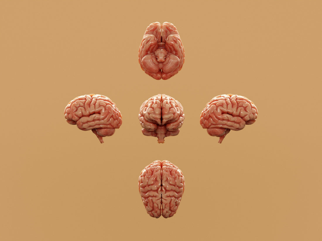 What Psychology Misses In Human Behavior - The Trap That Prevents Us From Understanding Behavior
