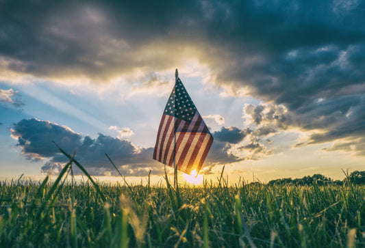 Was The Fight Worth It? My Message For Veterans' Day