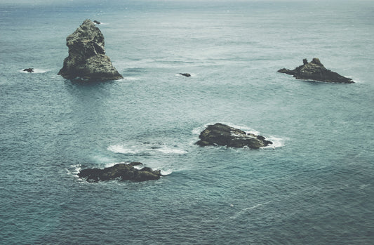 Escaping An Organization's Vicious Cycles Into The Abyss - The 3 Strategies To Liberate And Protect Yourself