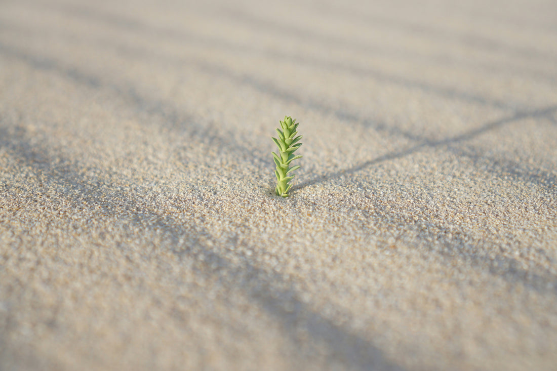Healing A Business - A Tenet Of Natural Healing That Explains Why Businesses Are Struggling Today