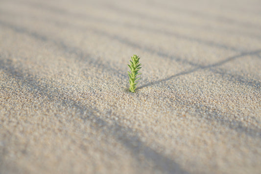 Healing A Business - A Tenet Of Natural Healing That Explains Why Businesses Are Struggling Today