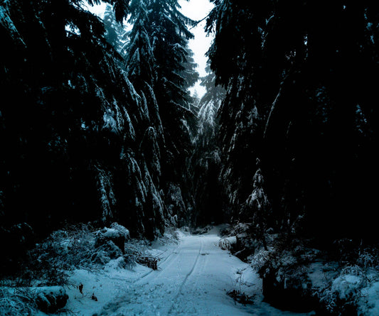 The Conundrum Of Life - The Three Paths To Decide Between