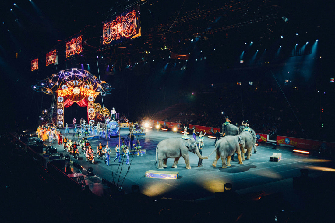 I'm Tired Of The Uninformed And The Deeply Embedded Manipulation - The Circus Of The Internet Today