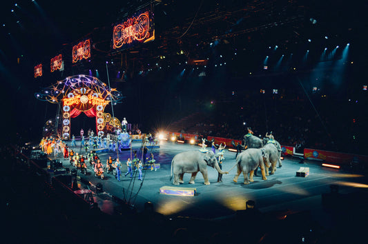 I'm Tired Of The Uninformed And The Deeply Embedded Manipulation - The Circus Of The Internet Today