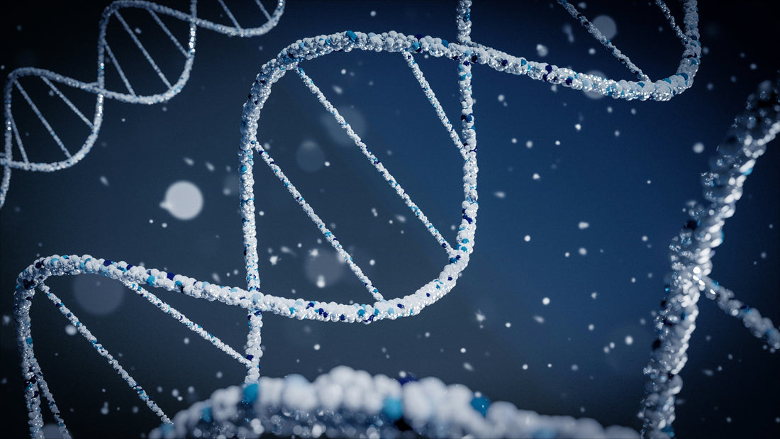 The Seven Levels Of Scientific Research - Understanding The Quality Of Your Scientific Beliefs