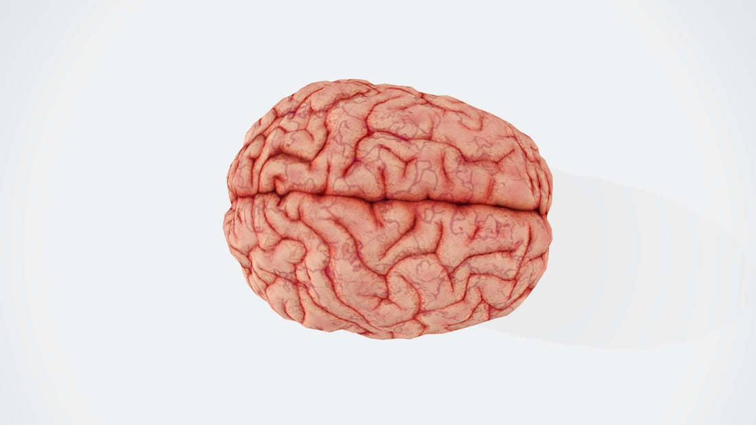 Is The Mind Primarily A Weapon? Thoughts On A Theory And A Counterargument