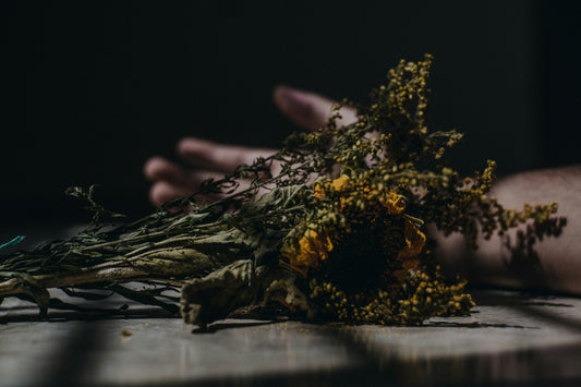 Are You Living Fully? Or Do You Feel Like You Are Dying?