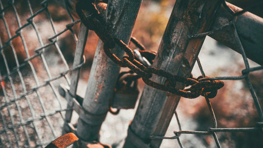 The Business Dependency Trap - The Sad Result Of What Happens When We Fail To Have True Interdependence