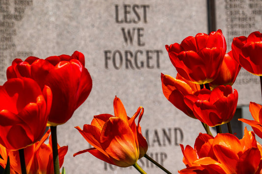 The Value Of Sacrifice - Memorial Day Message
