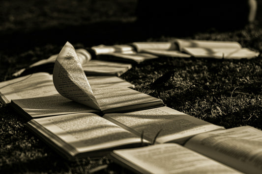 To Expand Out Or Niche Further In Your Knowledge? The Wrong Question To Ask And Why