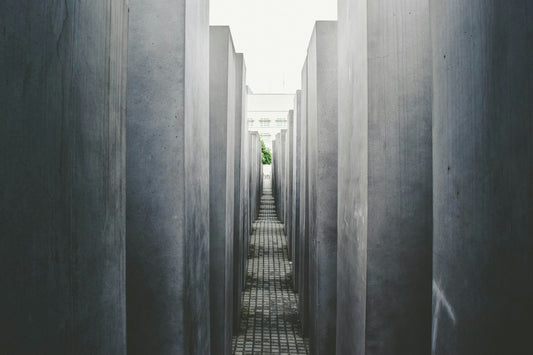 Why You Can't Find The Best Path Forward To Success - The Single Thing Standing In Your Way To Progress