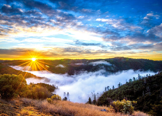 Sitting In Gratitude - The Path To One Of The Greatest Gifts in Life