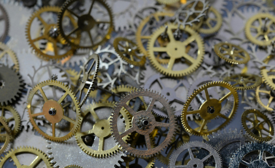 Why Most Organizations Struggle To Fill Any Of Their Key Roles - The Cog Curse And The Cultivation Cure