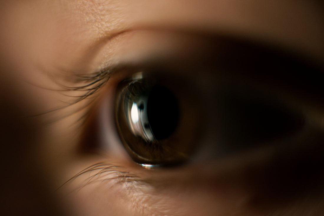 Abandoning Reason For Madness - Falsely Believing Ourselves To Be Wise