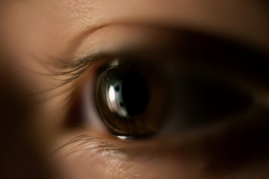 Abandoning Reason For Madness - Falsely Believing Ourselves To Be Wise