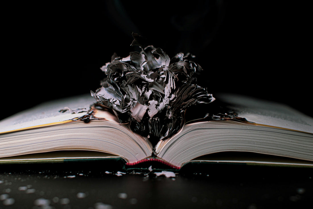 The Danger Of A Story - How Perspective And Control Can Skew The World In Detrimental Directions
