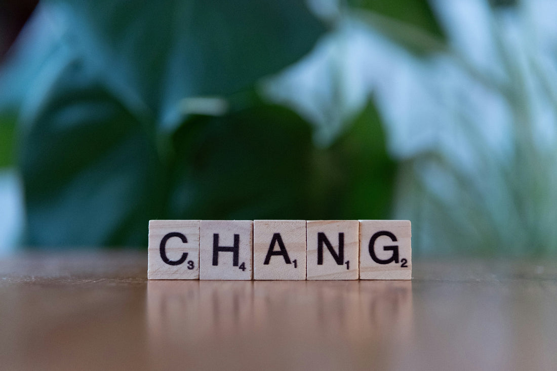 Why The World Rarely Changes - Understanding The Difference Between Theory And Reality