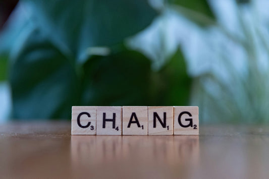 Why The World Rarely Changes - Understanding The Difference Between Theory And Reality