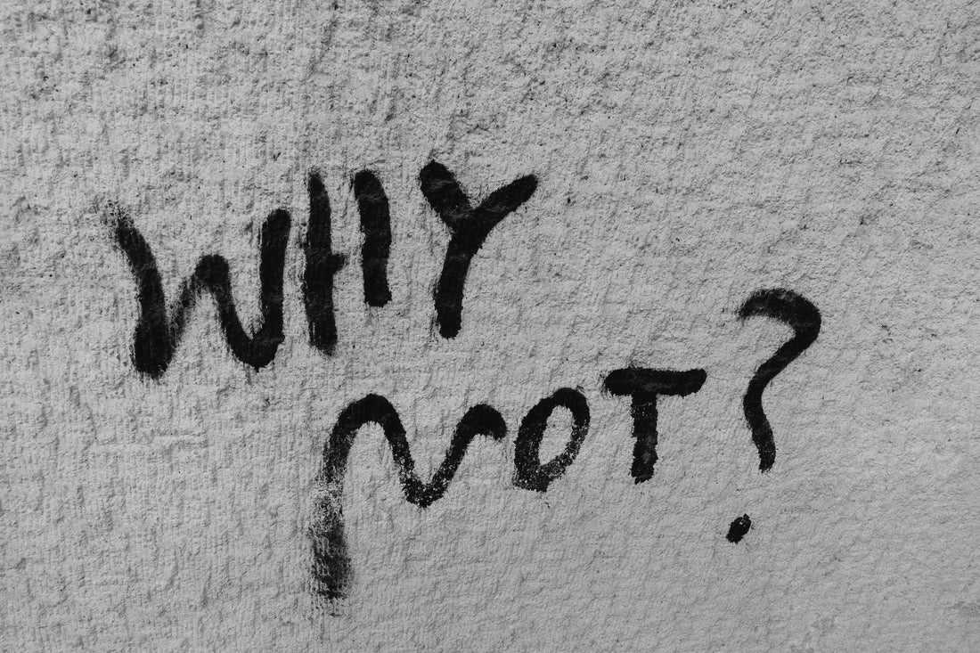 The Why Not Approach - Something That Has Launched My Career In Interesting Ways