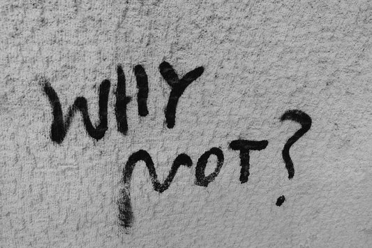 The Why Not Approach - Something That Has Launched My Career In Interesting Ways