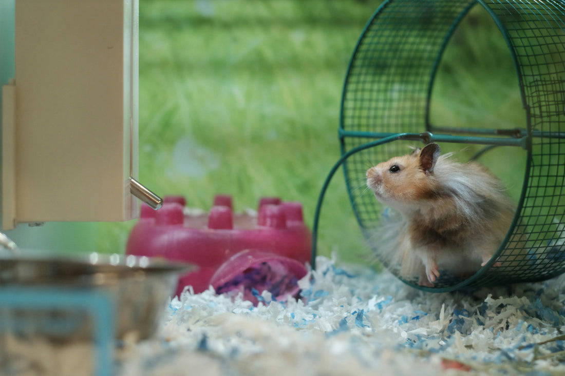 When Not Working Becomes Productive - Understanding Why Productivity Is More Than Working