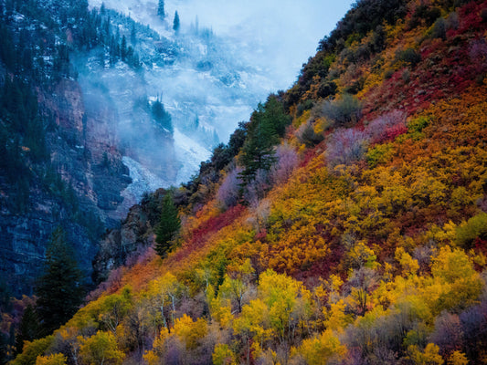 Your Season Of Life - Understanding Your Time And Place