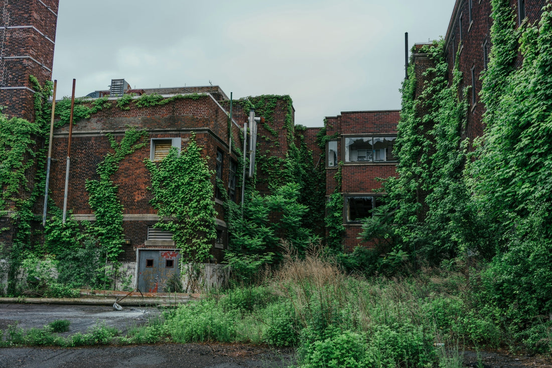 The Problem Of Personal Growth - Where People Usually Go Wrong