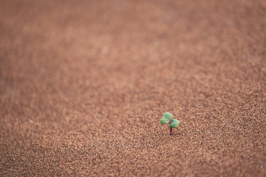 A Day Of Hope And Rebirth - Something Needed In Today's World