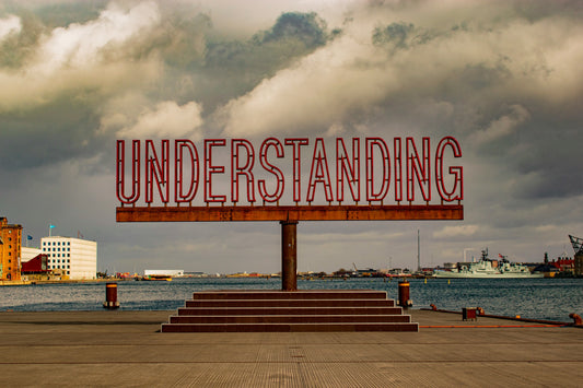 Types Of Understanding As A Leader - Completing The Picture For Success